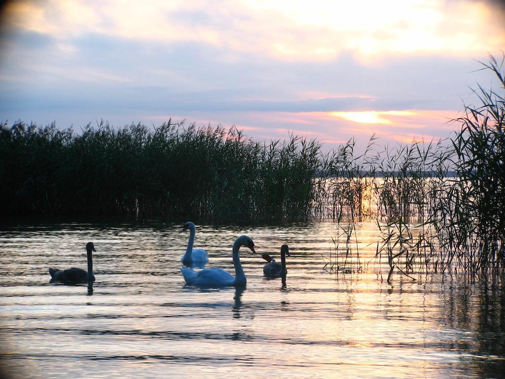 Feriendorf Boeker Muehle Szoba fotó